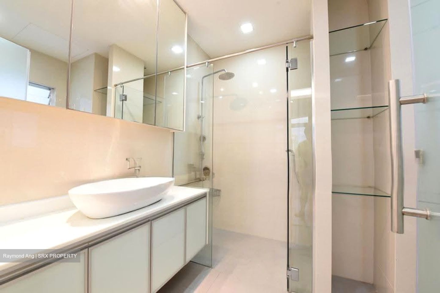 Regency Park (D10), Condominium #621643741
